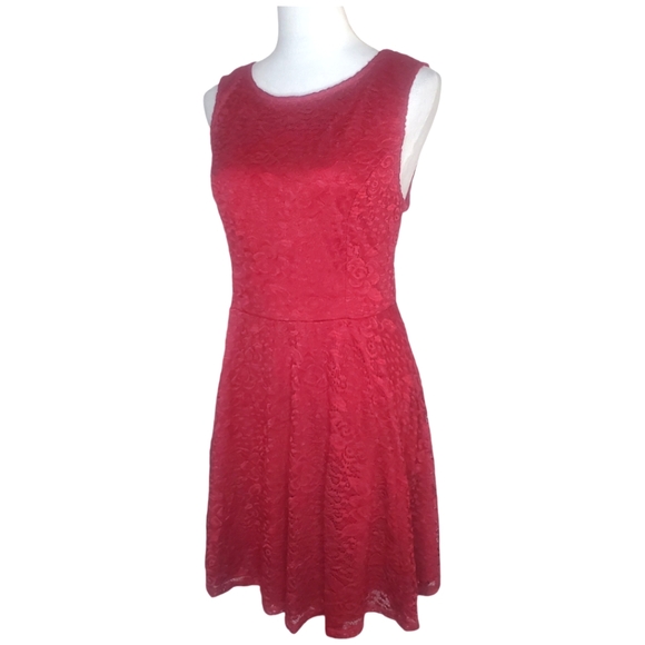 City Triangles Plus Size Lace Roses Overlay Fully Lined Dress - Picture 3 of 8